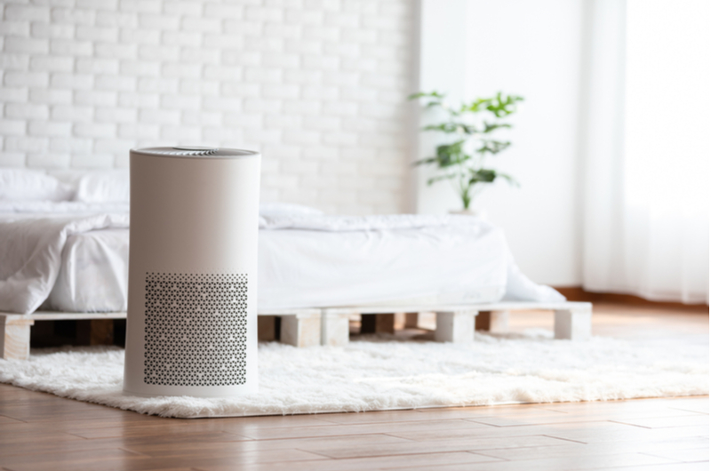 The Best Air Purifiers For Your Home